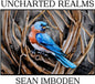 Sean Imboden: Uncharted Realms - CD