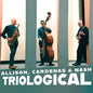Ben Allison: Triological - CD
