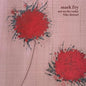Mark Fry: Not On The Radar: Demos - VINYL