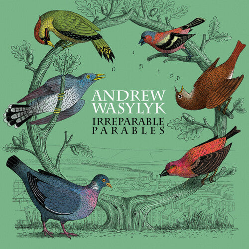 Andrew Wasylyk: Irreparable Parables - Pink Vinyl - VINYL