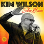 Kim Wilson: Slow Burn - VINYL