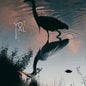 Yoal: Gloaming - CD