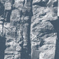 Driftwood: Maps - CD