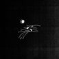 Cadaver Eyes: Road Extends - VINYL