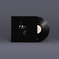 Richard Spaven: Light of Day - VINYL
