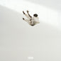 Daniel Caesar: Pilgrim's Paradise - VINYL