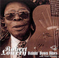 Robert Lowery: Rainin' Down Blues - CD