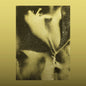Flying Lotus - 1983 - RSD LP