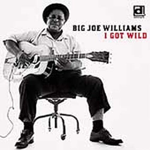 Big Joe Williams: I Got Wild - CD