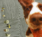 The Blow: The Concussive Caress, Or, Casey Caught Her Mom Singing Along With TheVacuum - CD