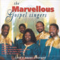 Marvellous Gospel Singers: Lord's Never Gonna Change - CD