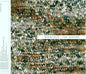 Beanfield: Seasons, Vol. 2 - 12-INCH SINGLE