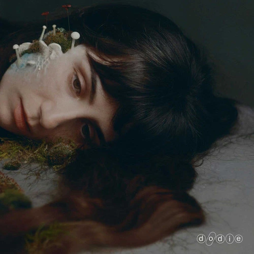 dodie - Not For Lack Of Trying - VINYL