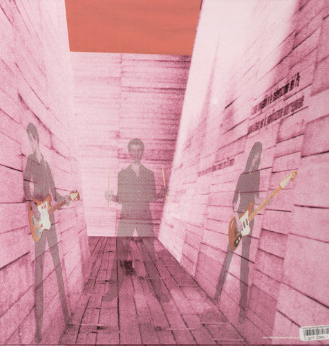 Blonde Redhead: In An Expression of the Inexpressible - VINYL