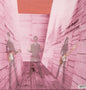 Blonde Redhead: In An Expression of the Inexpressible - VINYL