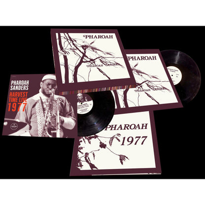 Pharoah Sanders - Pharoah - VINYL