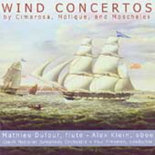 Various Artists: Wind Concertos / Various - CD