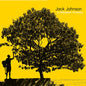 Jack Johnson - In Between Dreams - VINYL