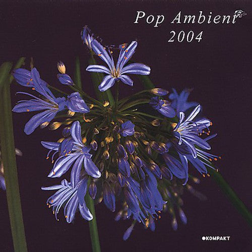 Various Artists: Pop Ambient 2004 - VINYL