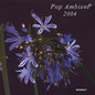 Various Artists: Pop Ambient 2004 - VINYL