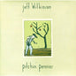 Jeff Wilkinson: Pitchin Pennies - CD