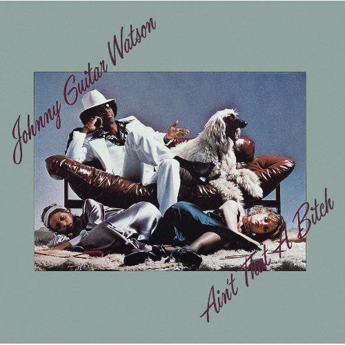 Johnny Watson Guitar: Ain't That a Bitch - CD