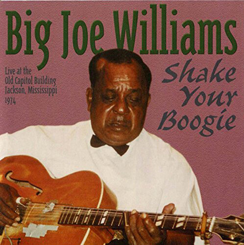 Big Joe Williams: Shake Your Boogie - CD