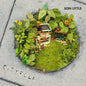 Son Little - Cityfolk - VINYL