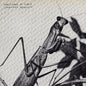 Courtney Barnett - Creature of Habit - VINYL