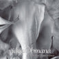 Vidna Obmana: River of Appearance: 10th Anniversary - CD