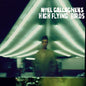 Noel ( High Flying Birds ) Gallagher: Noel Gallagher's High Flying Birds - VINYL