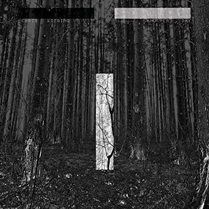 Chris Liebing: Another Day - VINYL