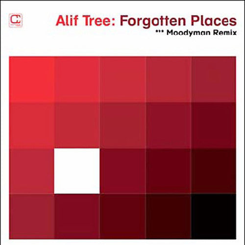 Alif Tree: Forgotten Places (Moodymann Remix) - VINYL