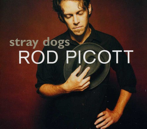 Rod Picott: Stray Dogs - CD