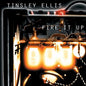 Tinsley Ellis: Fire It Up - CD