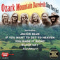 Ozark Mountain Daredevils: Sing Their Best - CD