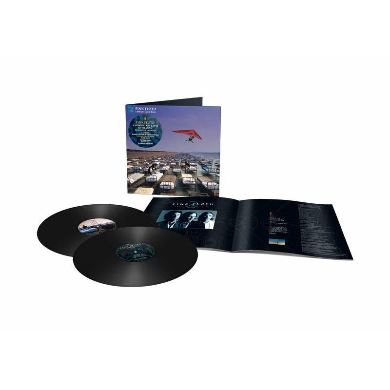 Pink Floyd - A Momentary Lapse of Reason (Remixed & Updated) - VINYL