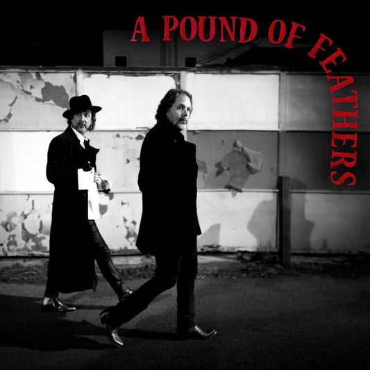 The Black Crowes - A Pound of Feathers - VINYL