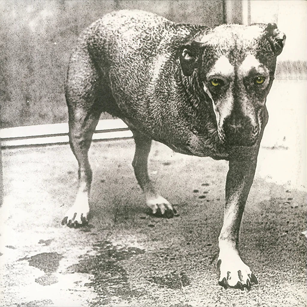 Alice In Chains - Alice In Chains (30th Anniversary) - VINYL