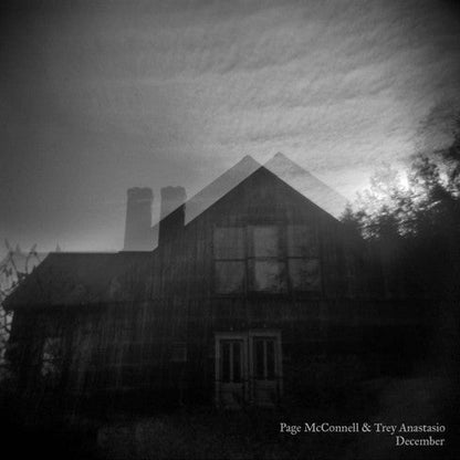 Page McConnell, Trey Anastasio ‎- December - VINYL