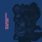 Pino Palladino & Blake Mills - That Wasn't a Dream - VINYL