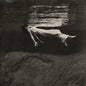 Bill Evans & Jim Hall - Undercurrent - Jackpot LP