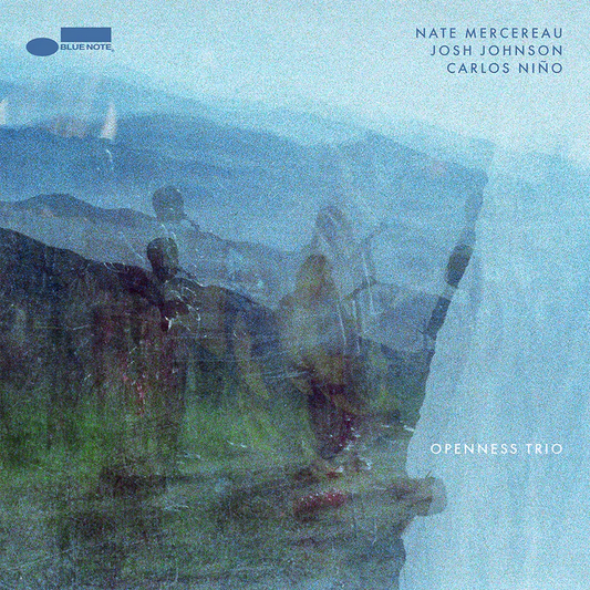 Nate Mercereau, Josh Johnson, Carlos Niño - Openness Trio - VINYL