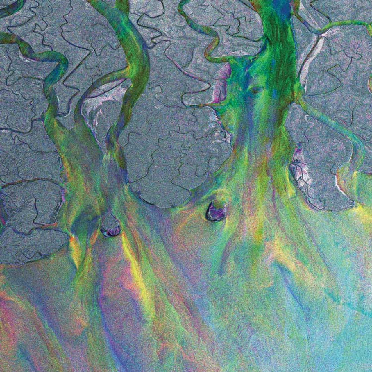Alt-J - An Awesome Wave - SYEOR LP