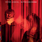 Peter Gabriel - In the Big Room - VINYL