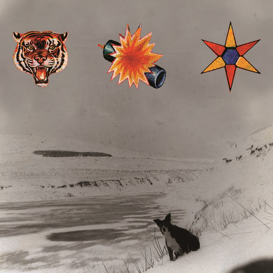 The Beta Band - The Three E.P's - VINYL