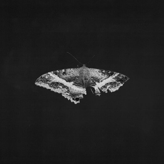 Kendrick Lamar - To Pimp A Butterfly (10th Anniversary) - VINYL