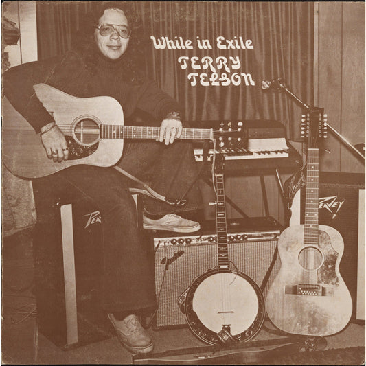 Terry Telson - While in Exile - VINYL