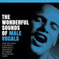 Various Artists - The Wonderful Sounds Of Male Vocals - Analogue Productions SACD