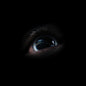 Roger Waters - The Dark Side of the Moon Redux - Box Set
